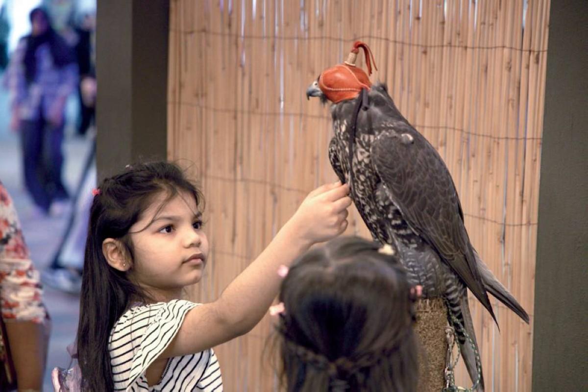 إيلي الشيخ زايد... منصة الإحتفال