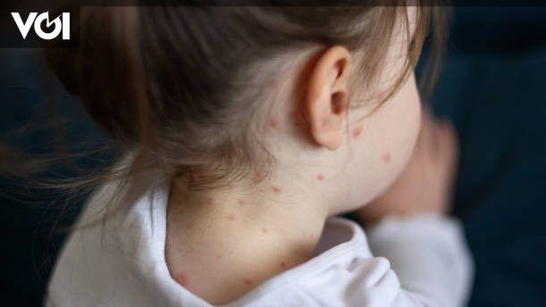 وقد أثبتت منظمة الصحة العالمية أن التدخين انخفض بنسبة 88 بالمئة، لكن السبب في تزايد!