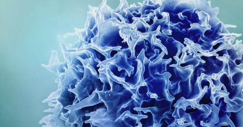 علاج جديد بتقنية mRNA يعيد جهاز المناعة المفقود لدى كبار السن - الرأي